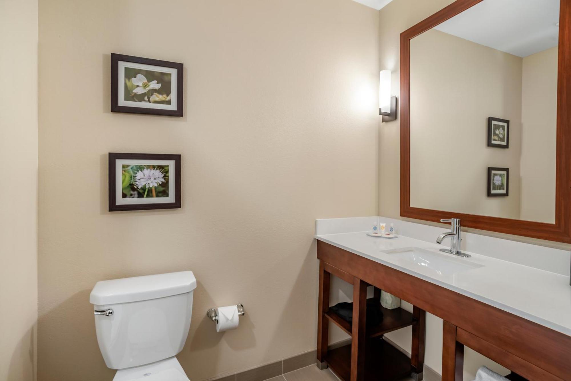 Comfort Inn & Suites Winchester Chambre photo