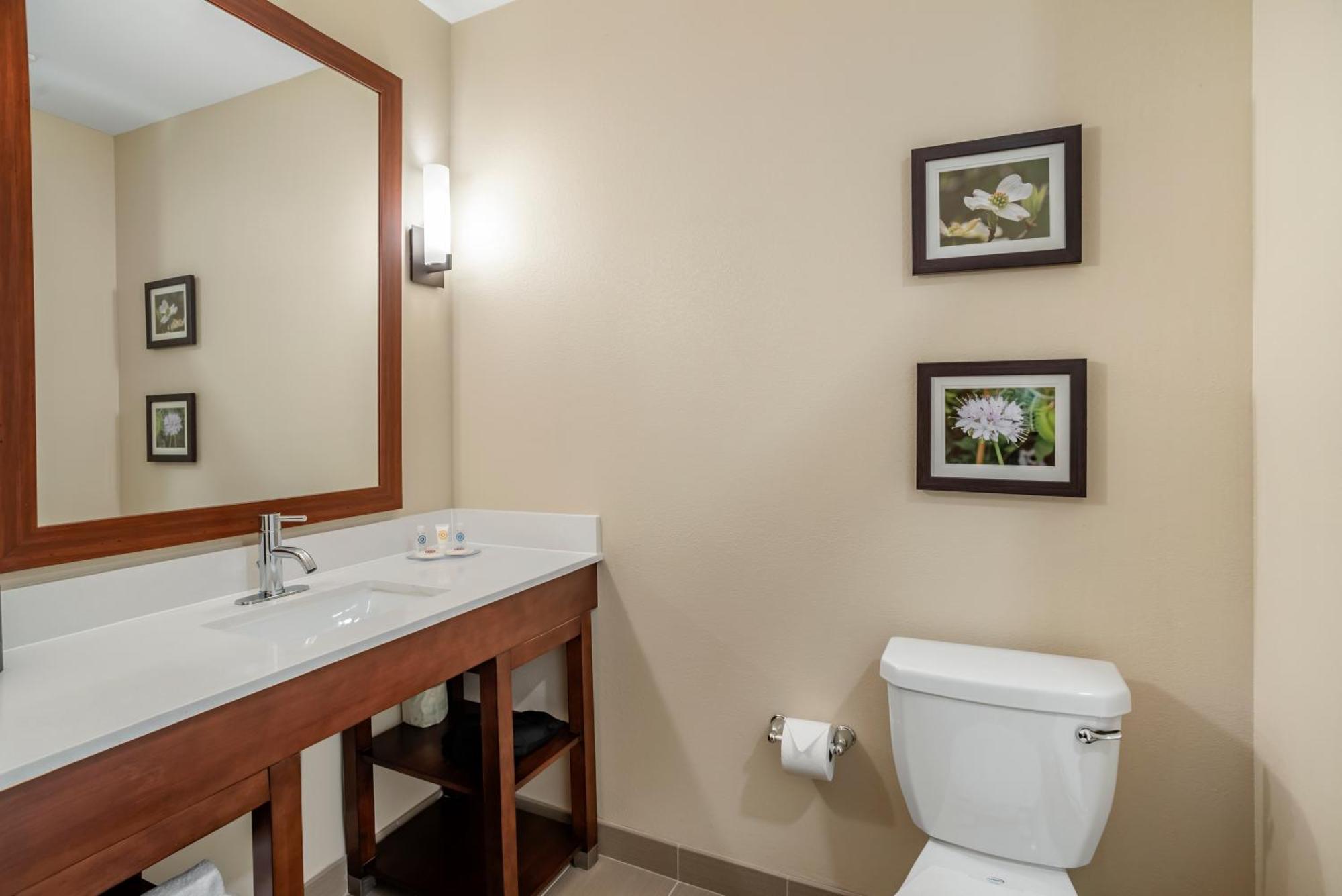 Comfort Inn & Suites Winchester Chambre photo